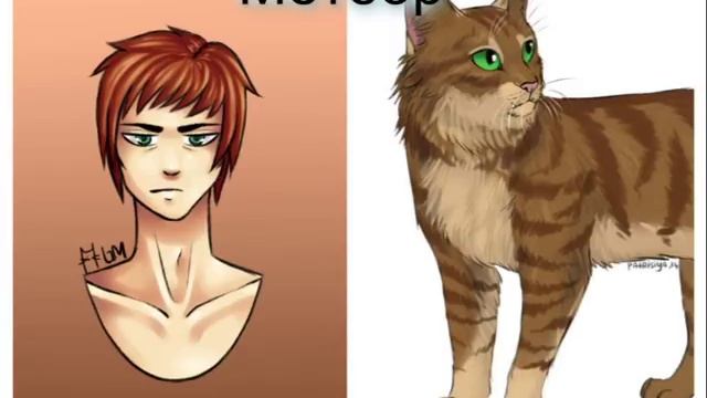 "Коты - Воители" - в облике людей! смотреть онлайн