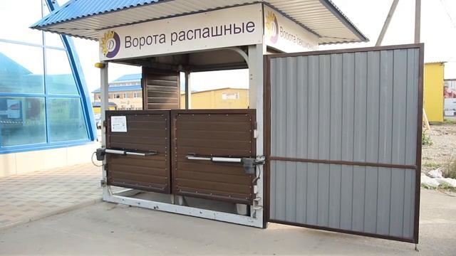 2013-диол 5 ворота смотреть онлайн