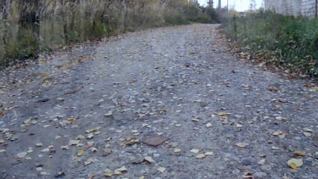 #природа#чудо Обыкновенное чудо смотреть онлайн