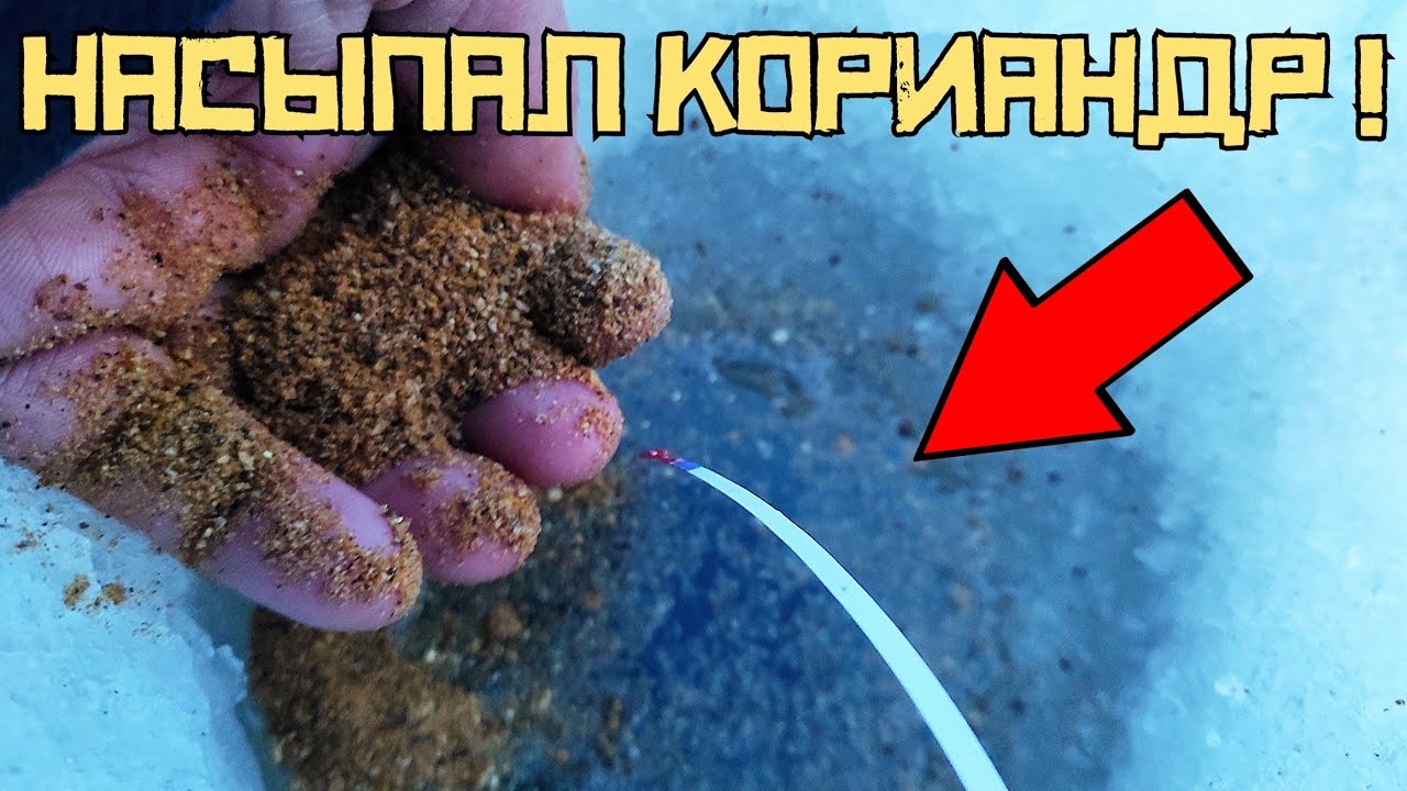 ОНА ПОДОШЛА СРАЗУ! Опустил мормышку и ПОПЁРЛО! Плотва клюёт КРАСИВО! Рыбалка 2023 смотреть онлайн