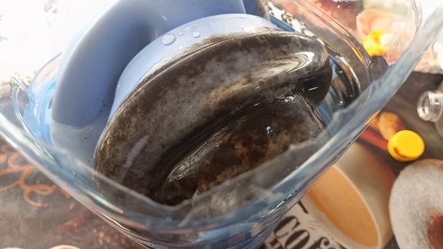 Как отмыть резинку стиральной машины!? смотреть онлайн