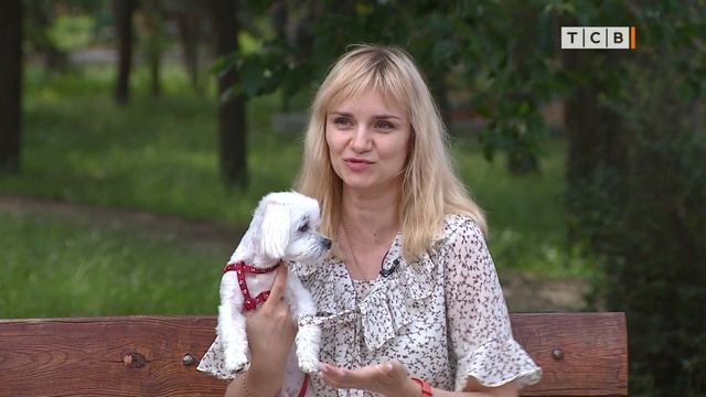 Мальтийская болонка. Особенности содержания смотреть онлайн