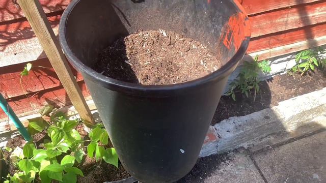 গার্ডেনের লাউ টব কীভাবে বদলাবেন &মাটির সাথে কী সার ব্যবহার করবেন|Best way to Transplant Bottle Gour смотреть онлайн