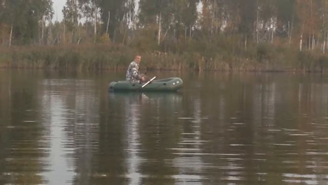 Усяжские торфянники. Хотеново. Октябрь 2016 смотреть онлайн