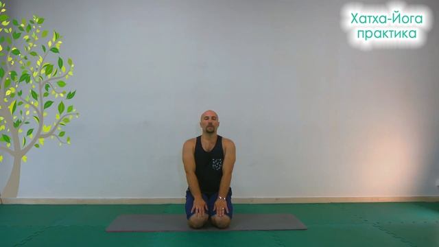 Йога для начинающих 20, йога 25, быстрая йога, йога днем, йога когда нет времени смотреть онлайн