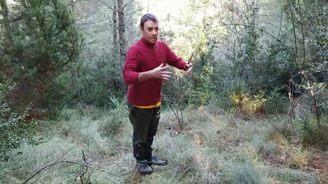 Mencari jamur liar dihutan Spanyol смотреть онлайн