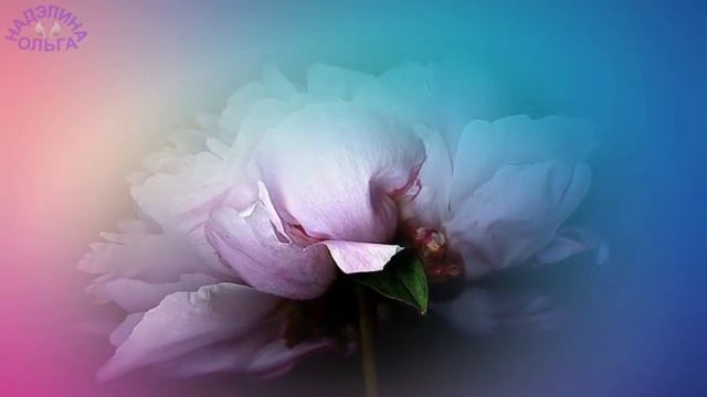 Я ПОДАРЮ ТЕБЕ ЦВЕТЫ КУСОЧЕК РАЯ смотреть онлайн