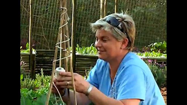 DIY: Creating Teepees For Climbing Beans смотреть онлайн