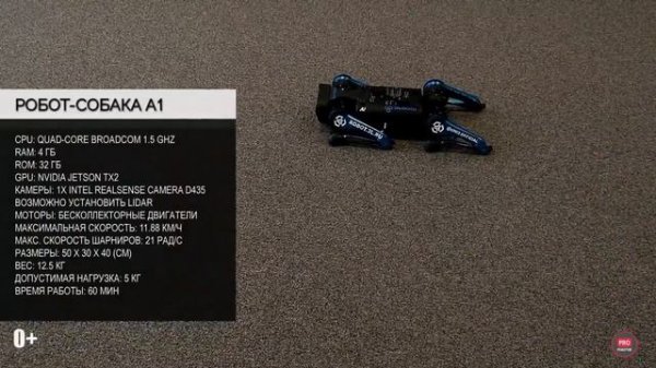 Распаковка, полный обзор и трюки крутых роботов собак от Unitree Robotics