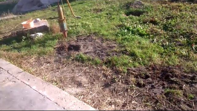 Ура! Посылка с саженцами пришла. смотреть онлайн