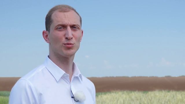 Озимая гибридная рожь смотреть онлайн