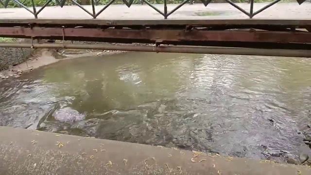 Мост труба смотреть онлайн