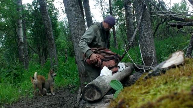 Поход на солонец. смотреть онлайн