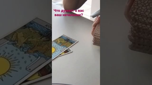 Как к вам относится ваш начальник смотреть онлайн