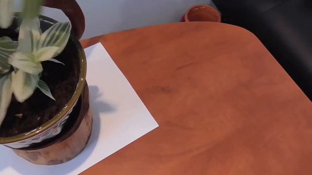 S1530001 смотреть онлайн