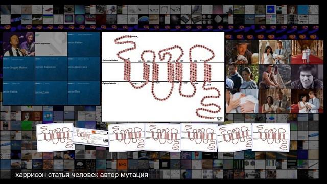 Ученые опровергли связь между защищающей от ВИЧ мутацией и риском смерти от всех причин смотреть онлайн