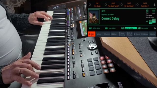 Korg Pa5x Factory Style Unplugged Ballad 1 смотреть онлайн