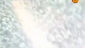 Контактеры  Контакт с внеземным разумом  Очевидцы НЛО