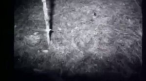 Реальные контакты с НЛО. Самый известный случай в Великобритании.