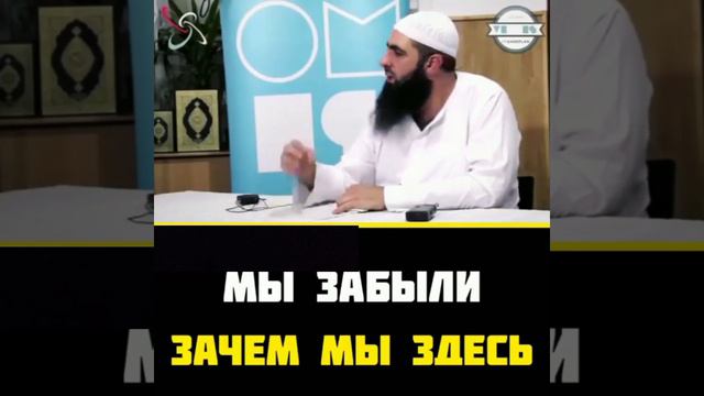 Мы забыли зачем мы здесь. Аузубиллях