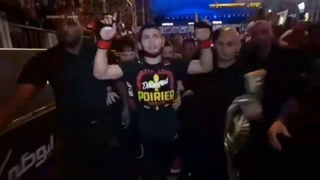 Хабиб чемпион 🤘🤘🤘 смотреть онлайн