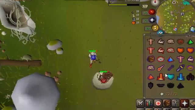 OSRS Mutated Zygomite Slayer Guide / Fossil Island смотреть онлайн