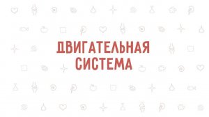 5. Двигательная система . Окружающий мир - 3 класс