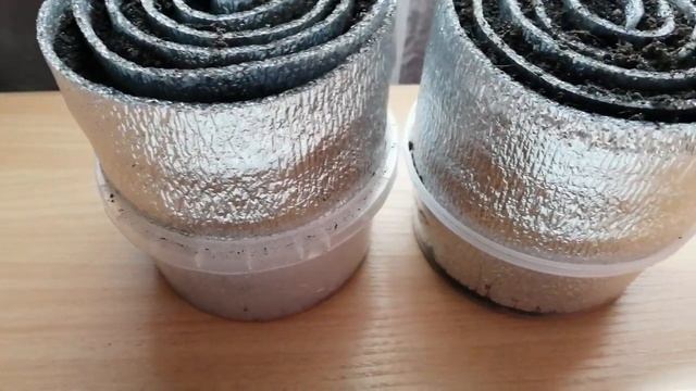 #Лукизсемян Какие сорта лука я посею в 2023 году . смотреть онлайн