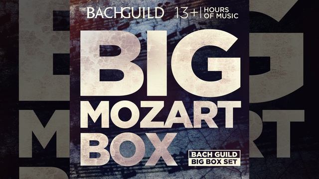 Piano Sonata No. 8 in A Minor, K. 310: iii. Presto смотреть онлайн