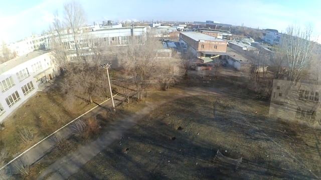 птички mp4 смотреть онлайн