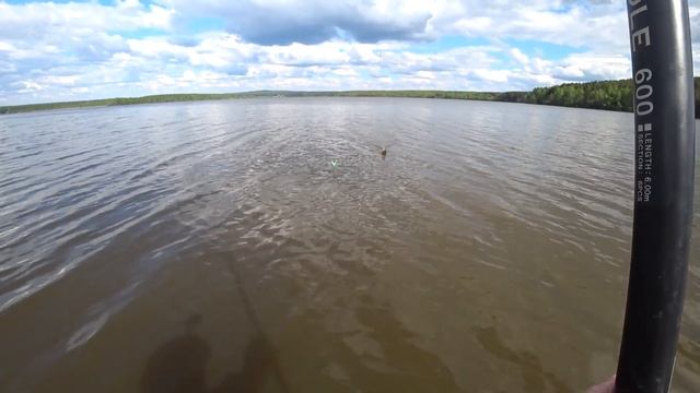 ЭТА ПРИКОРМКА СТАВИТ РЫБУ НА ТОЧКУ! РЫБАЛКА В ЗАБРОДАХ НА ПОПЛАВОЧНУЮ УДОЧКУ! РЫБАЛКА НА УРАЛЕ! смотреть онлайн