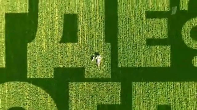 Что? Где? Когда? Летняя серия игр. Анонс смотреть онлайн