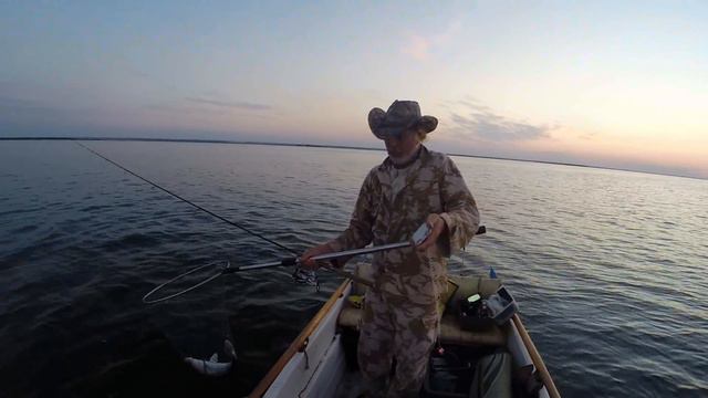 Судаку нравиться, если хвостик красный. Это ребята Маныч. Подборка из архива. 2023г. смотреть онлайн