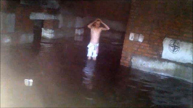 Чичя плывун