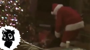 5 ДЕДОВ МОРОЗОВ СНЯТЫХ НА КАМЕРУ ч2 [Черный кот]