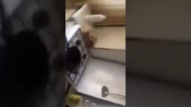 В раскалённую сковородку водой! Придурок смотреть онлайн