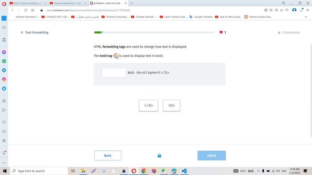Sololearn Certificates | Introduction to HTML #1 смотреть онлайн