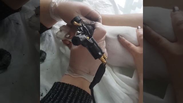 делаем клеймо щенкам смотреть онлайн