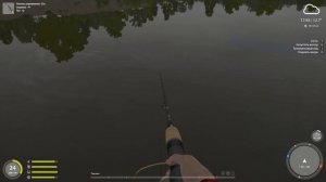 русская рыбалка 4 река Волхов  спиннинг как и где ловить