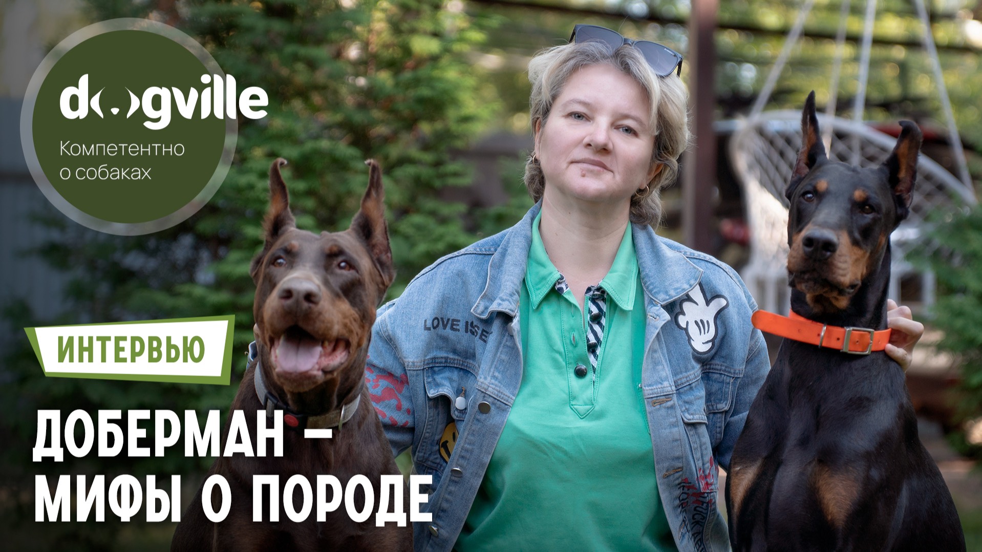 Мифы о породе Доберман – ответы руководителя питомника и владельца смотреть онлайн