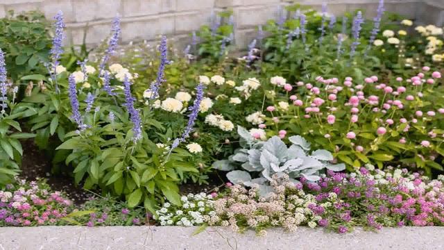 Backyard Landscape Design Free