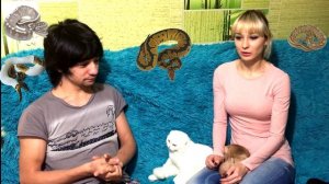 Как выбрать идеальную пару для королевского питона?