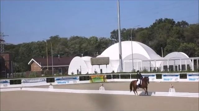 Golden Horsе Голден Хорс Таганрог
