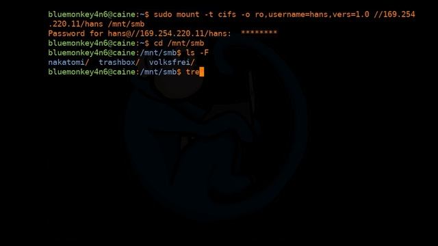 LCL 23 - NAS network share - Linux Command Line tutorial for forensics смотреть онлайн