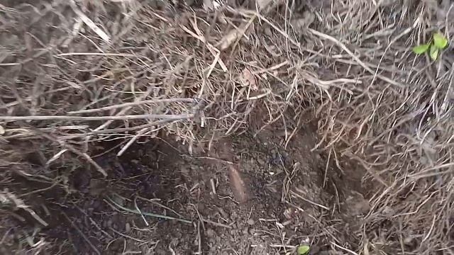 КОМПОСТ РЕЦЕПТ классического компостирования ПОШАГОВО смотреть онлайн