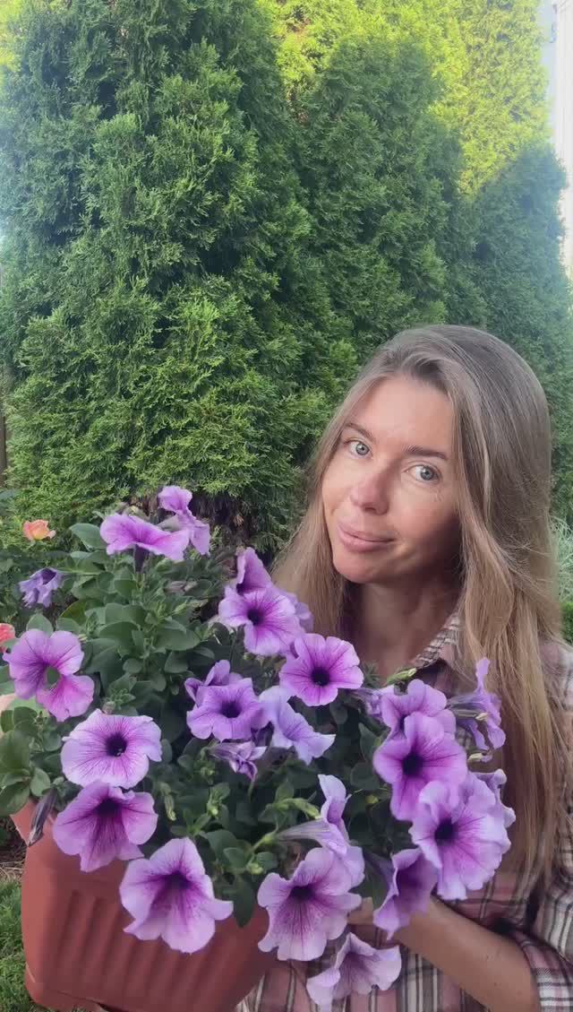 Надоела возня с петунией. Неприхотливые растения на замену смотреть онлайн