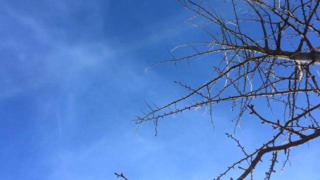 Один из самых красивых городов Швейцарии | Люцерн смотреть онлайн