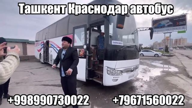 TASHKENT KRASNODAR AVTOBUS,TASHKENT MOSKVA AVTOBUS,Ташкент Краснодар автобус,Ташкент Москва автобус смотреть онлайн