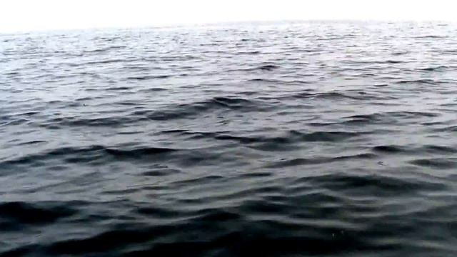 озеро Иткуль рыбалка 23 07 2016 смотреть онлайн