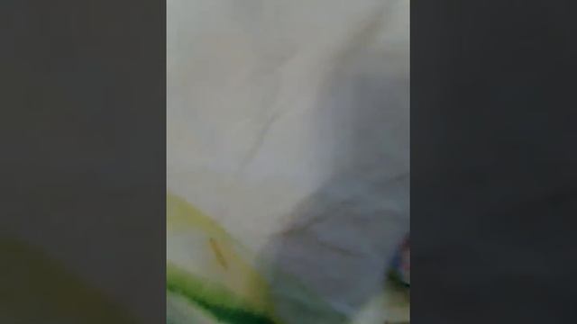 Обзор состава игры "бизнесмания путь к успеху" смотреть онлайн